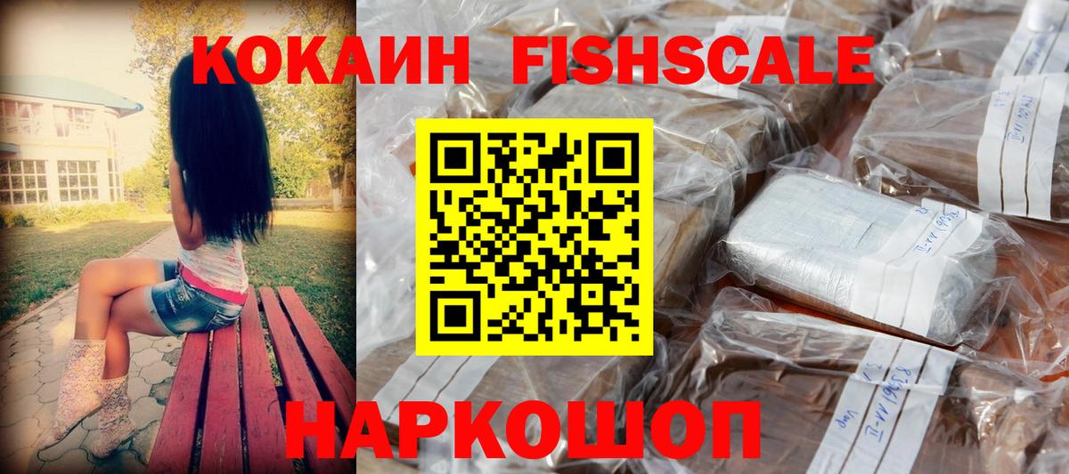 Cocaine FishScale  Вход с VPN  Бийск 