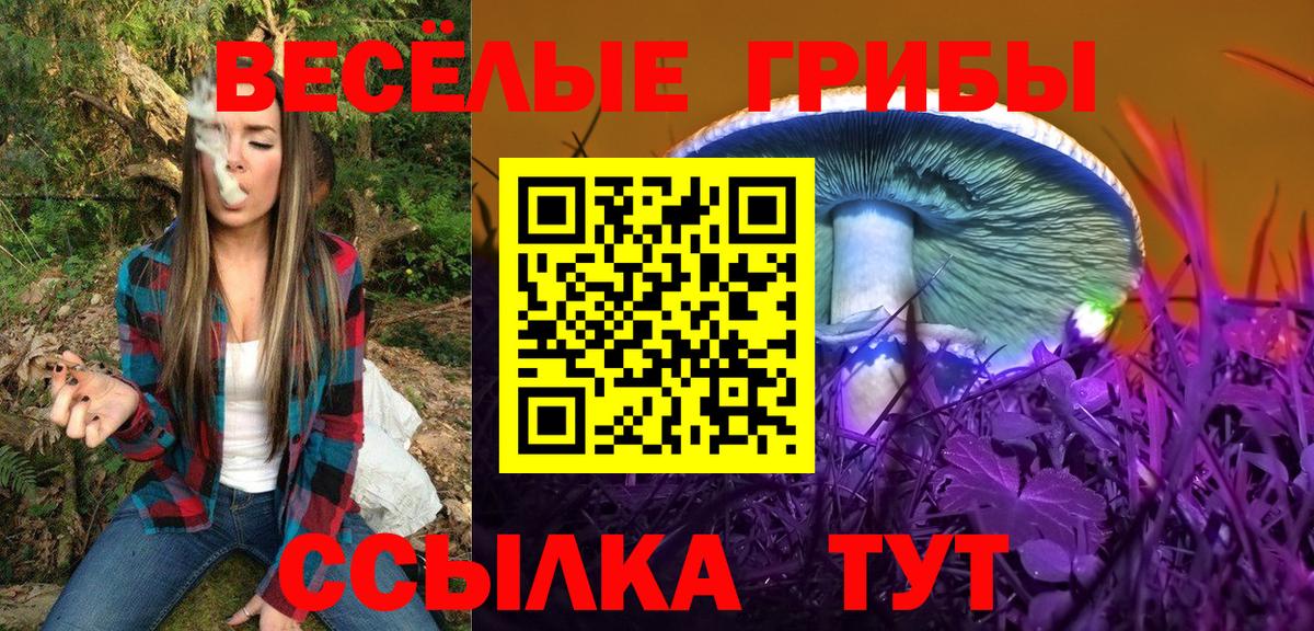 Галлюциногенные грибы GOLDEN TEACHER Бийск