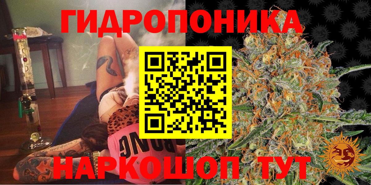 Каннабис сатива Бийск